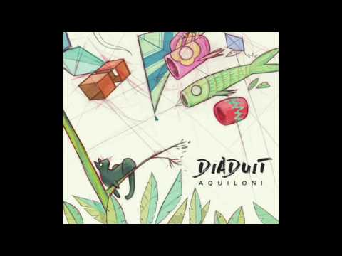 DiaDuit - Al centro del cerchio
