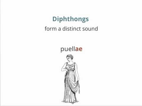Prosody and Meter: Vowels