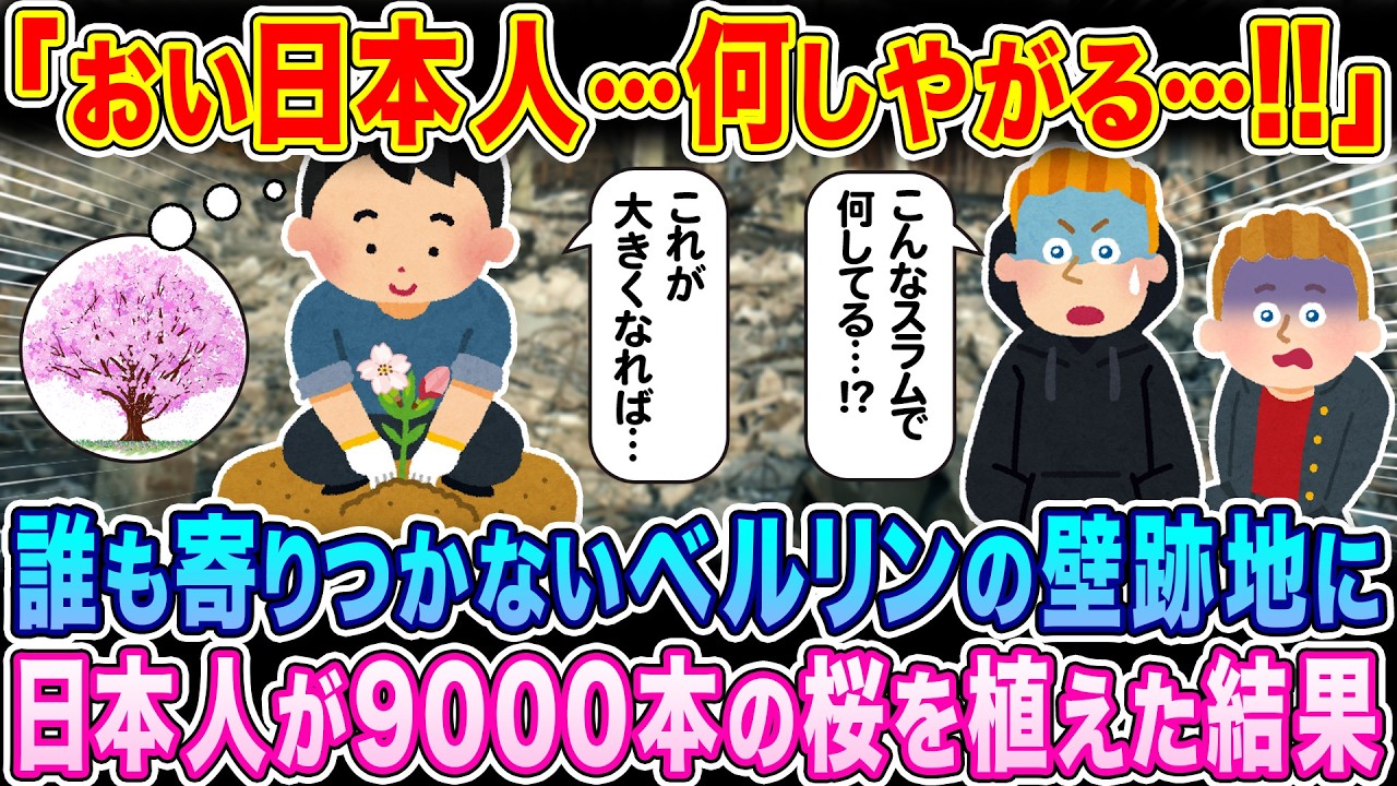 「また日本人がやりやがった…！！」誰も寄りつかないベルリンの壁跡地に、日本人が9000本の桜を植えた結果…【海外の反応】【ゆっくり解説】