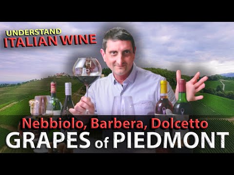 Piedmont's Wine TRILOGY: Nebbiolo, Barbera, Dolcetto | Italian Wine 101