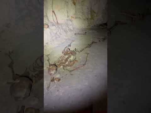 Exploring Paris - The Catacombs || The Skeleton  #abandoned #paris #urbex #explore