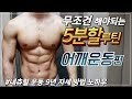 [어깨운동] 헬스 초보자 무조건 꼭 해야되는 5분할루틴 어깨운동편 | 자세 방법 노하우 | 운동 자극 | 어깨 펌핑