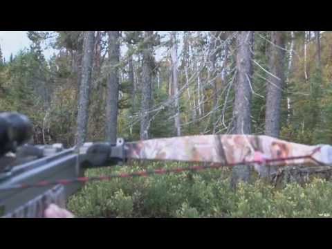 download lagu mp3 mp4 Crossbow Hunting Alaska, download lagu Crossbow Hunting Alaska gratis, unduh video klip Crossbow Hunting Alaska