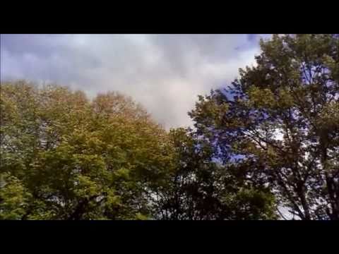 "Pod Figurą" Hutki (Roztocze) - jesień 2010