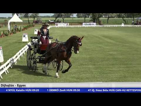 I. Nemzetközi Fogathajtó Mélykút - Díjhajtás - 2017. június 2. délelőtt