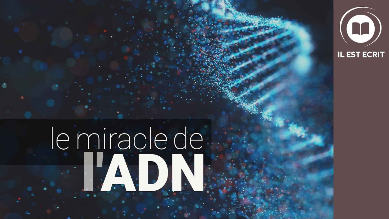 Le miracle de l’ADN