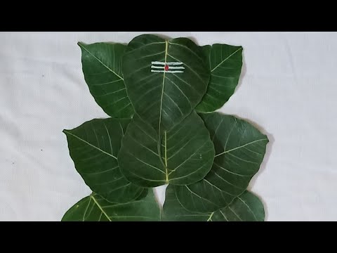 Peepal Leaf Ganesha #