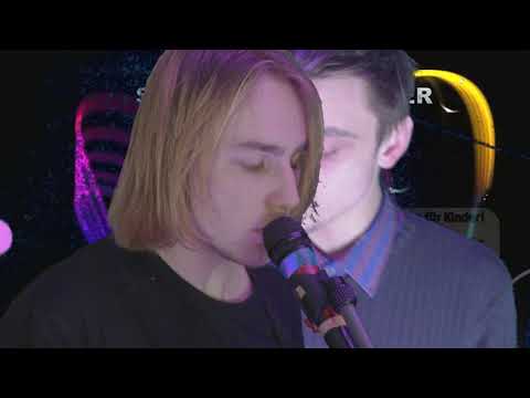 Dolphins - Illusion Shark (Raytrack Session 1/2)