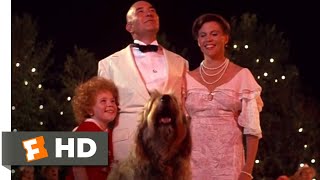Annie (1982) - I Don&#39;t Need Anything But You / Tomorrow Scene (10/10) | Movieclips