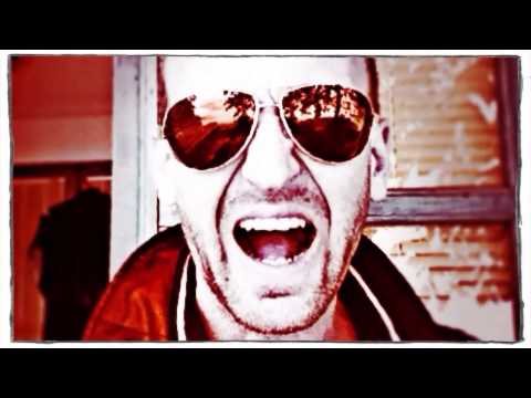 NUMEK @ 2013 SummerNoiseCho_NUstep készlet