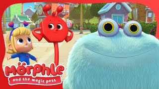 Morphle Meets a Gobblefrog! 🐸 Morphle and the Magic Pets 🐸 Education Show For Toddlers