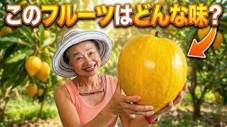 市場で初遭遇!今が旬の「カニステル」を食べてみました。美味しいの? | 東南アジアのフルーツ試食
