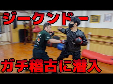 ジークンドーの普段の稽古を覗いたらガチ過ぎた【石井東吾 VS 平良さん】