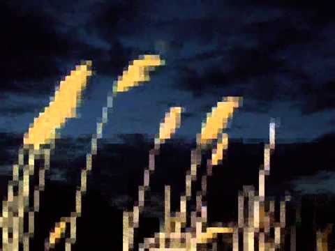 Bárdos Lajos : Tábortűznél ( Szellő zúg távol...)