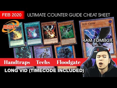 ULTIMATE Counter Guide Feb 2020 - MORE OPTIONS