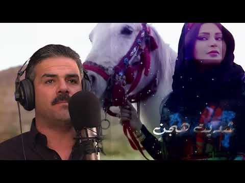 أحمد القسيم شديت هجن