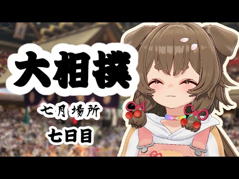 【大相撲/SUMO】7月場所 七日目🐕【出羽姫ぽわぬ】