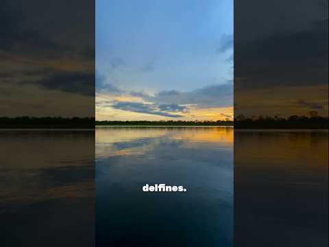 🏞️ San José del Guaviare - Tranquilandia y Laguna Negra - Colombia Mágica