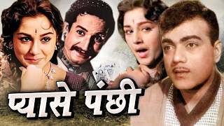 Download lagu Pyase Panchhi प्यासे पंछी Full Movie अमिता और महमूद की सुपरहिट फिल्म  Oscar movies mp3