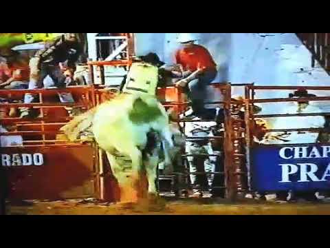 elvis bento pereira..rodeio de colorado PR