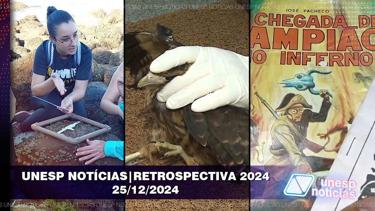 Importância da biodiversidade costeira, preservação de espécies e promoção da cultura nordestina