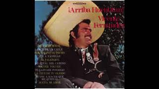 Vicente Fernández - Amor De La Calle