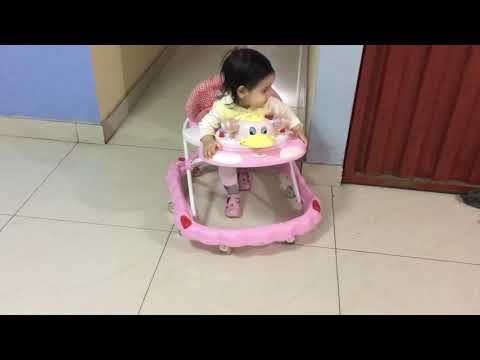 Albita en full practica para caminar.