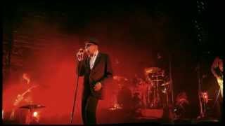 Alain Bashung à l'Olympia - Samuel Hall