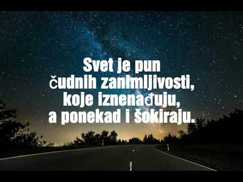 MINUT INFO: NEVEROVATNO, ALI ISTINITO