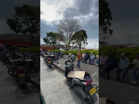 Saludos desde palestina caldas 🇨🇴❤️🙏