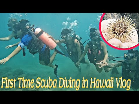 Scuba Diving for the First Time in Magic Island Hawaii 2023 @VonCrazyFamily @selenaa474