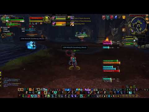 2018 01 16 vs. Windwalker Monk/Feral Druid