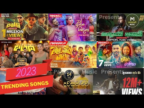 2023 Best Sinhala New Songs | New Sinhala Song Collection | Pahasara Music