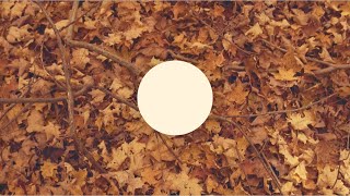 Video thumbnail for Chapter 1: COUNTRYSIDE [J.Views - Organic Electronics 2] by J.Views