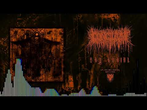 CONCILIUM - Between the Moon and the Mountain (Track Premiere)