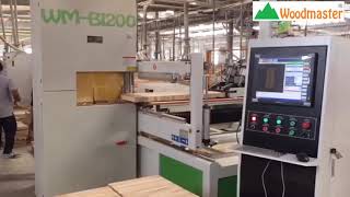 MÁY CƯA LỌNG CNC Woodmaster tại Cty Miền Quê