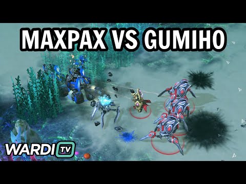 MaxPax vs GuMiho (PvT) - WardiTV Monthly Open Cup [StarCraft 2]