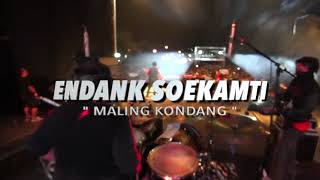 Download lagu Endank Soekamti - MALING KONDANG | THE SUPERSAS DRUMCAM mp3