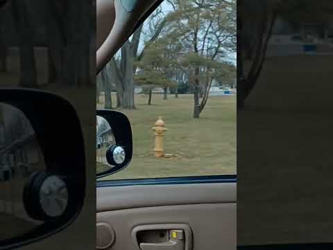 New crypto just dropped in Chicago suburb. Cryptozoological creature that is.