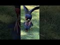 Swamphen Ritual Dance Shorts Birds