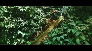 Download lagu Wisata air terjun Sulawesi Utara mp3