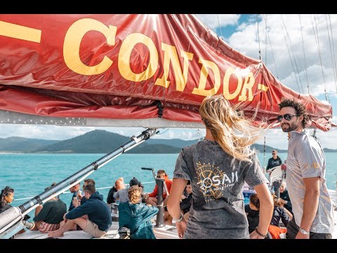 CONDOR Whitsundays Adventure Sailing With Prosail | The Underwater Sculptures In The Whitsundays