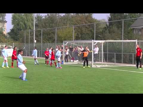 Samenvatting DCV D4M - Hermes DVS D5