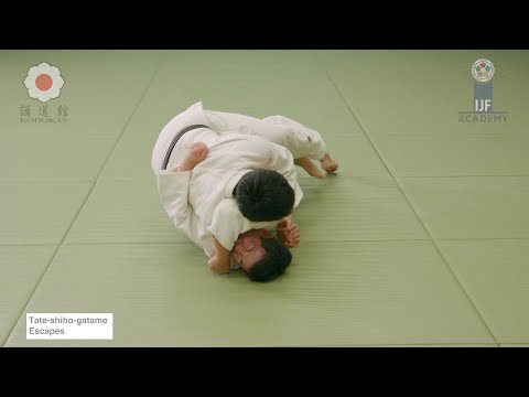 縦四方固の逃れ方 /  Tate-shiho-gatame Escapes — judo technique demonstration