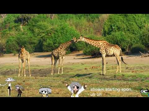 Lexx S1E2 Eating Pattern. Zev and Stan go on a desperate search for Brunnis, Kai's home planet, in o