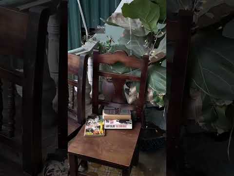 Tiệm café vintage xinh xắn trong ngõ nhỏ #lelacafe #drink #coffee #coffeeshop #vintage