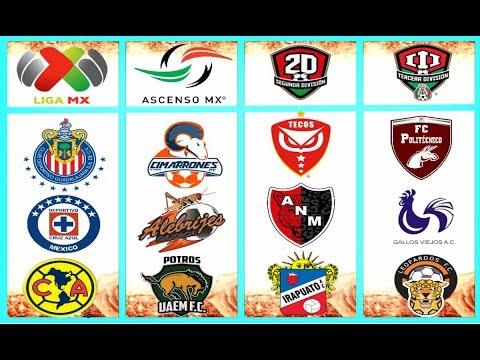 En México, ¿cuántas divisiones de futbol profesional existen y cómo  funcionan?  México