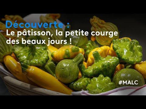 Discovery: Pattypan squash, the small squash of sunny days!