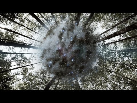 Speaker Honey & VVVIRTU - We Belong Together (Official Music Video)