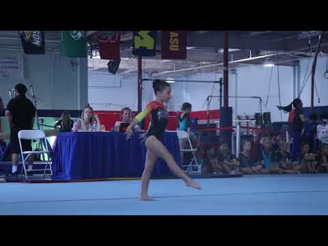 Joelle Geffeney 2nd Floor Olympic Dreams Invite 2017 Wildfire Gymnast Level 3